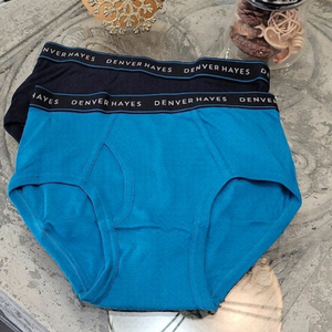 HANES COTTON NEW BRIEFS SMALL SIZE